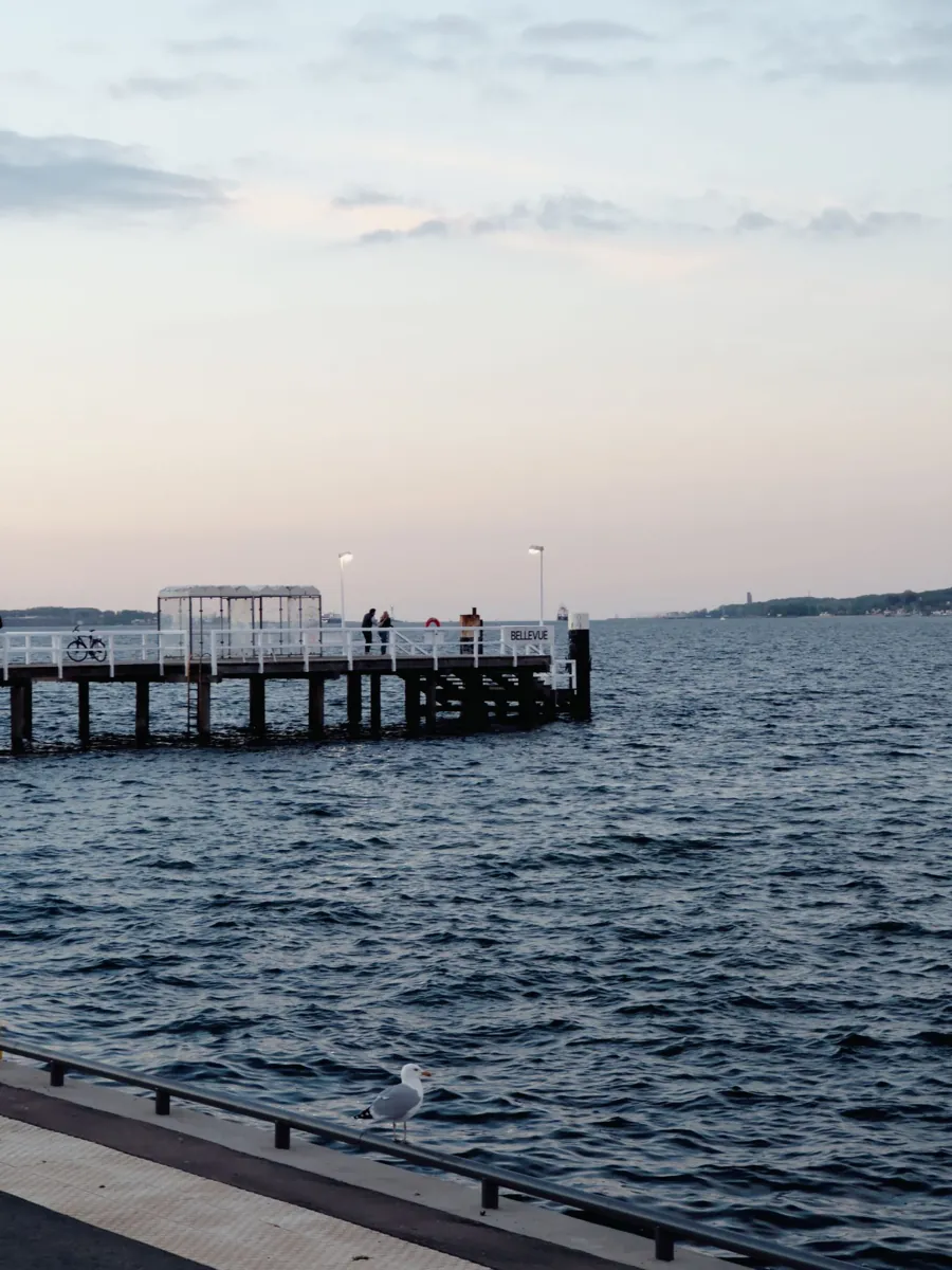 Steg an der Kieler Förde im Abendlicht